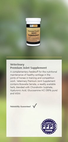 premium joint supplement