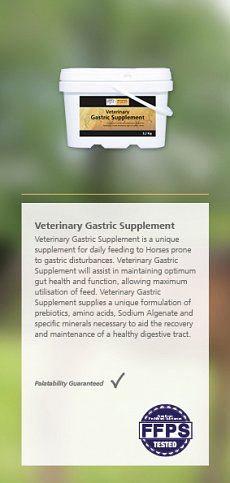 gastric supplement
